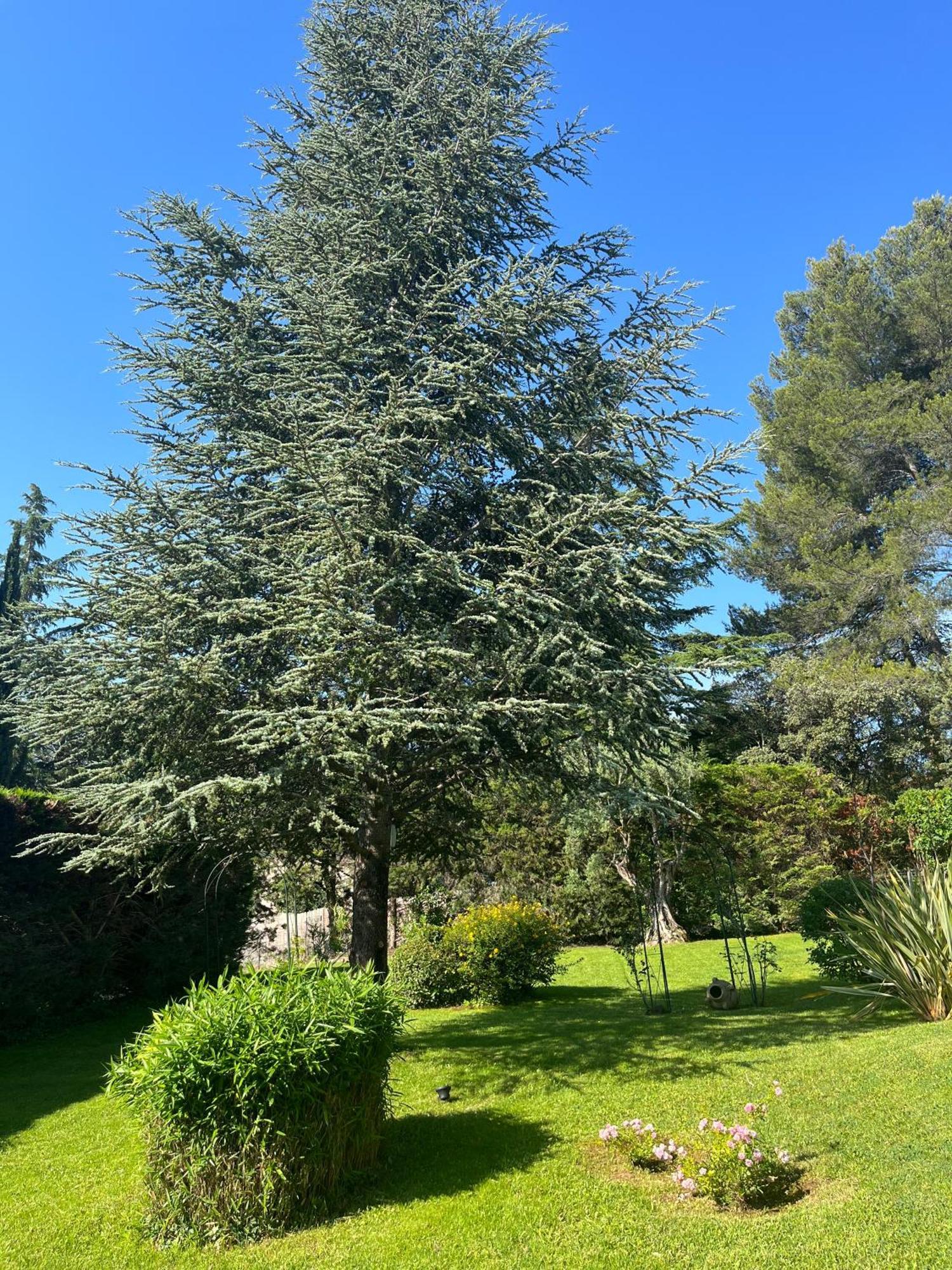 Le Clos Serein Le Beausset Exteriér fotografie