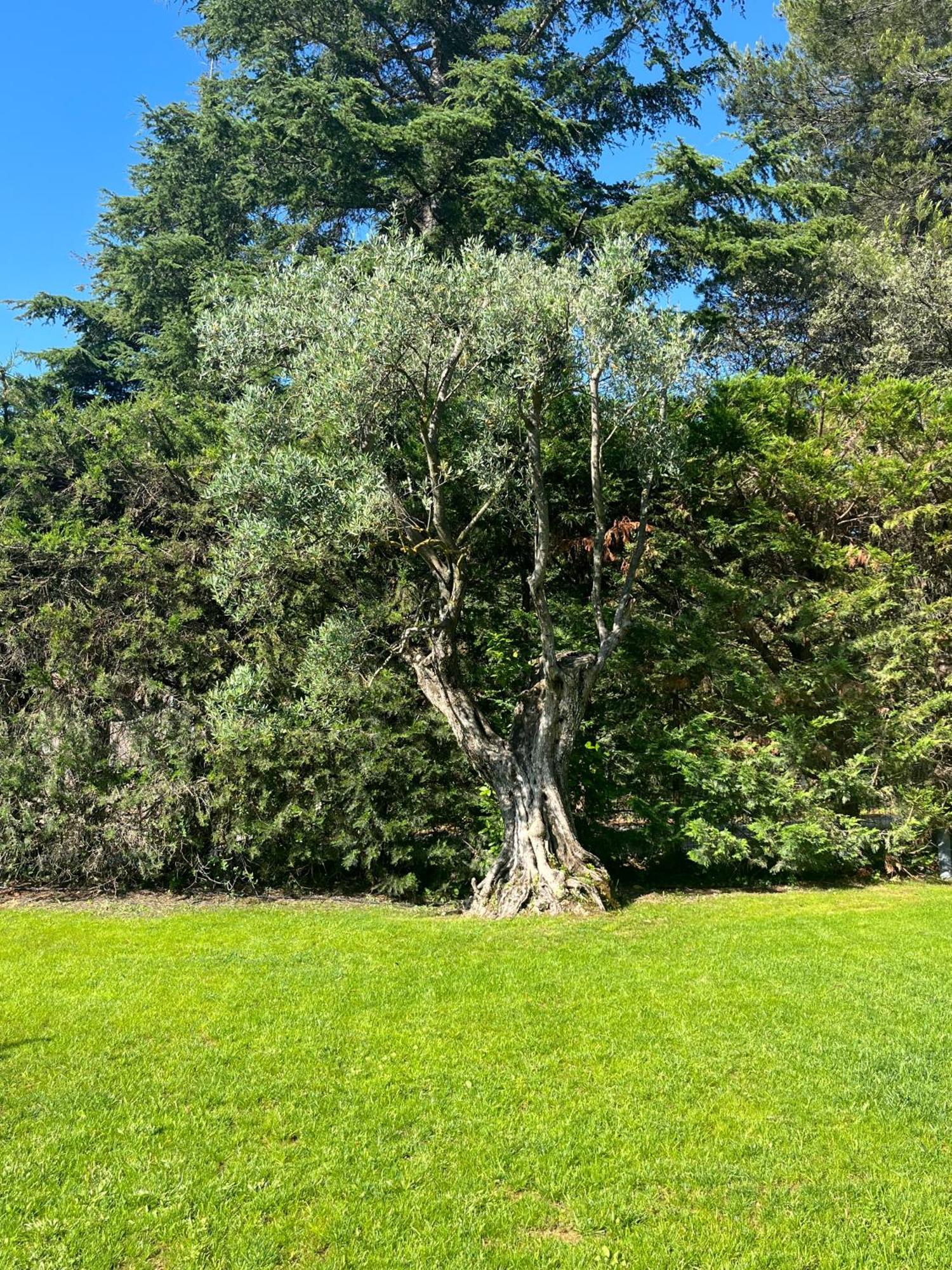 Le Clos Serein Le Beausset Exteriér fotografie